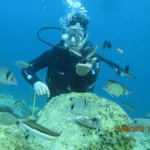Murat