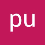 Pu Tin
