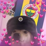 Yiğit