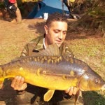 Murat
