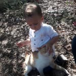 Hanife
