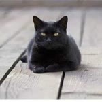 Nazli