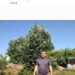 Lokman