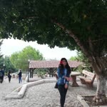 Elif