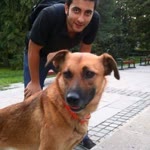 Nihat