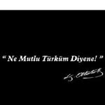 Yilmaz