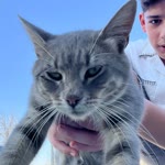 Ömer