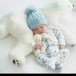 Pelin
