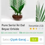 Efe