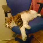 Adam