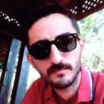 Şahin