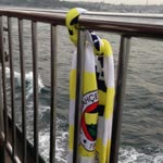 Alper