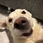 Batu