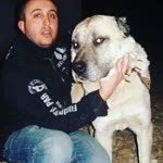 Mücahit