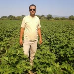 Engin
