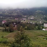 Dilek