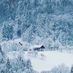 Kadriye