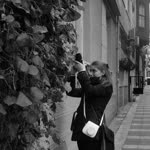 Elif