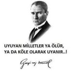 Erdal