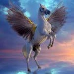Orhan