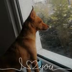 Ayten