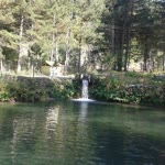Savaş