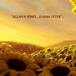 Şenol