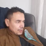 Gülbiddin