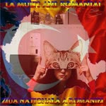 Yıldız