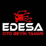 Edesa