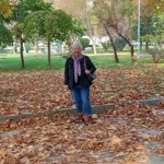 Mücella