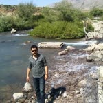 Şahin