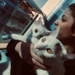 Seher