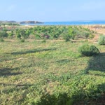 Gülsüm