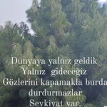 Teyfik