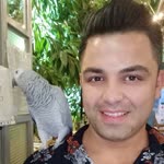 Serdar