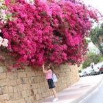 Hatice