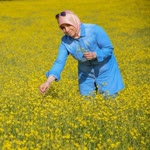 Nazan