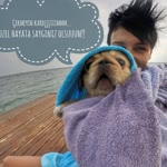 Güliz
