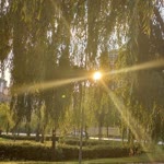 Orhan