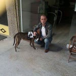 Umut