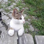 Esra