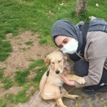 Bahar