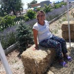 Melek