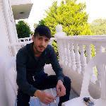 Şahin