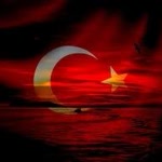 Tamer