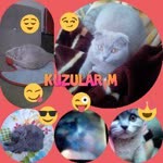 Zeynep