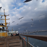 Serkan