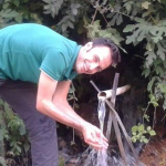 İsmail
