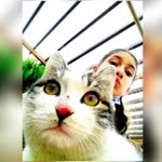 Elif